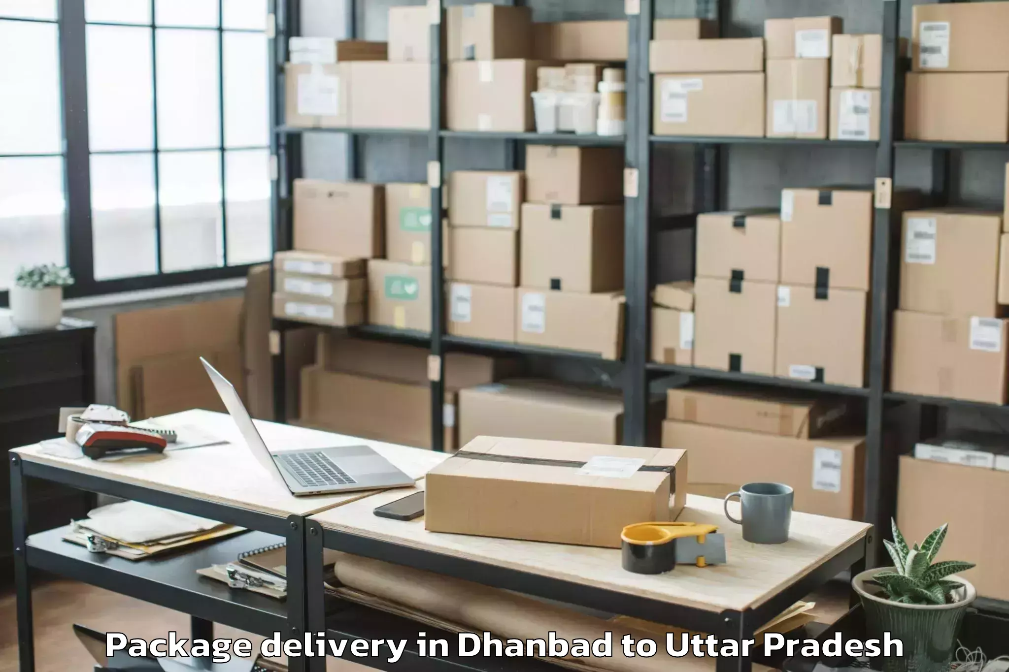 Trusted Dhanbad to Jagdishpur Industrial Area Package Delivery